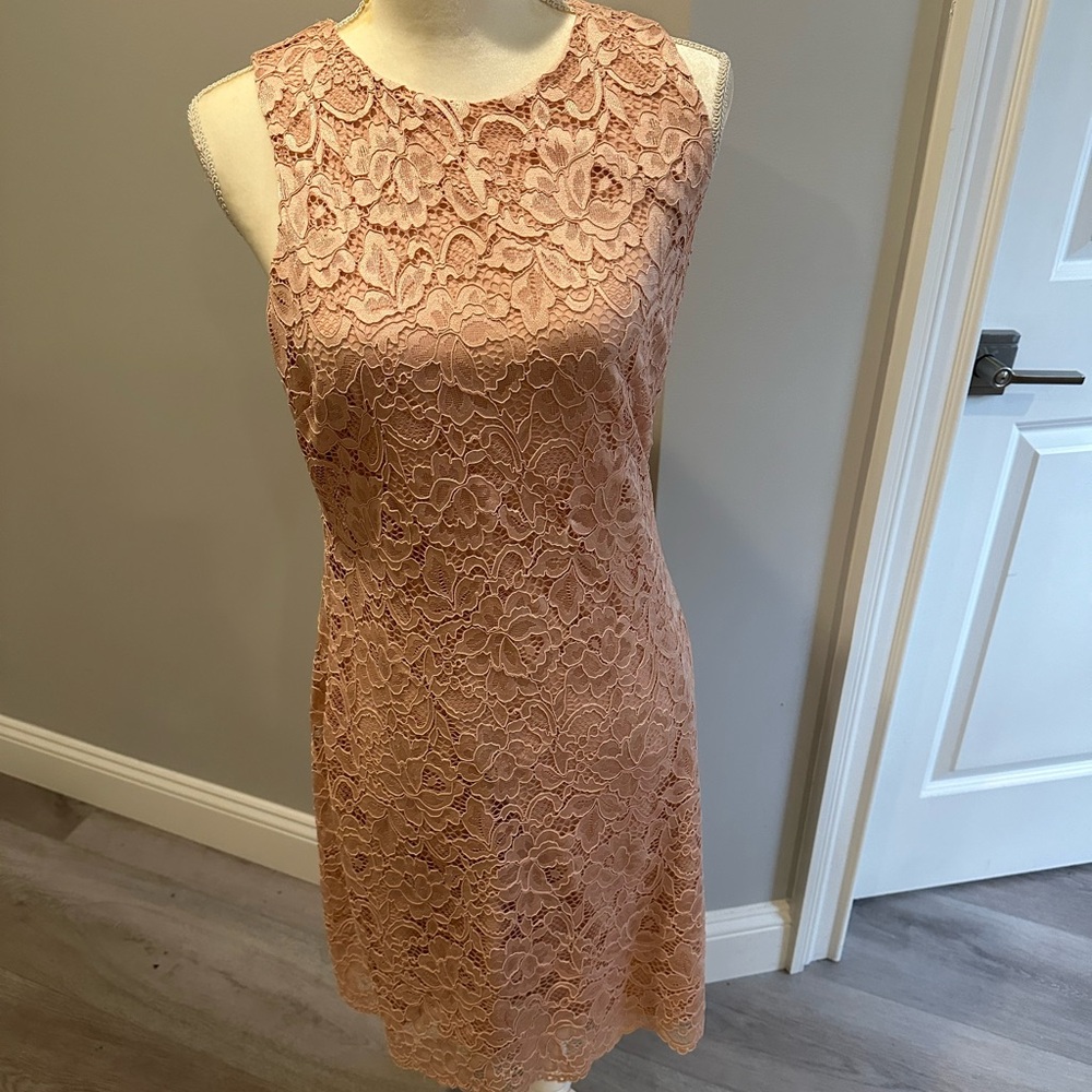 Sam Edelman Blush Lace Keyhole Dress Size 10
